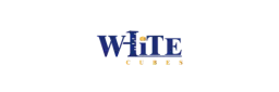 White Cubes - Mordor Intelligence Client