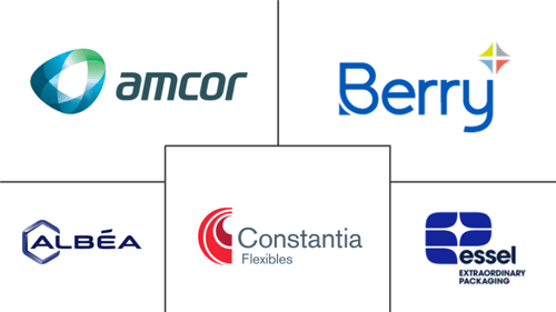 Tube & Stick Packaging Market Major Players