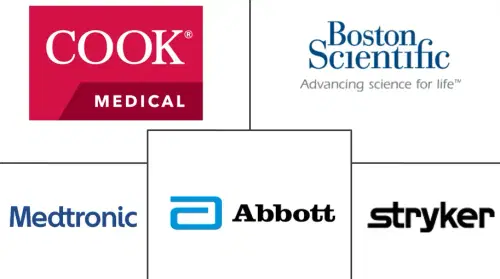 Vascular Embolization Market Major Players