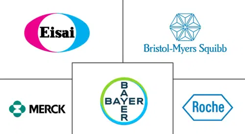 Unresectable Hepatocellular Carcinoma Market Major Players