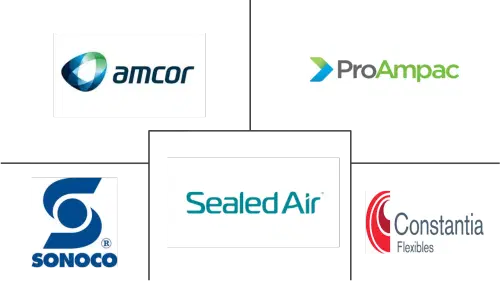 Converted Flexible Packaging Market Major Players