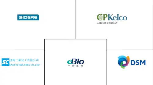 Welan Gum Market Major Players