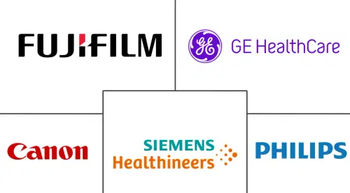 Markt für die Diagnose des akuten ischämischen Schlaganfalls Major Players