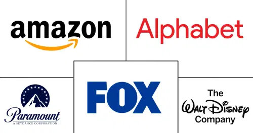 Advertising Based Video On Demand (AVOD) Market Major Players