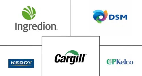 Africa Food Hydrocolloids Market Major Players