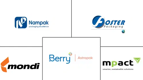 Africa Plastic Packaging Market Major Players