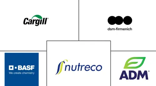 Africa Ruminant Feed Premix Market Major Players