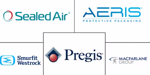 Air Cushion Packaging Market Major Players