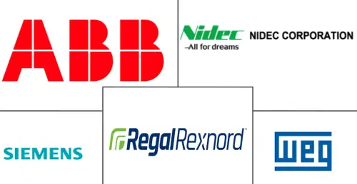 Alternating Current (AC) Motor Market Major Players