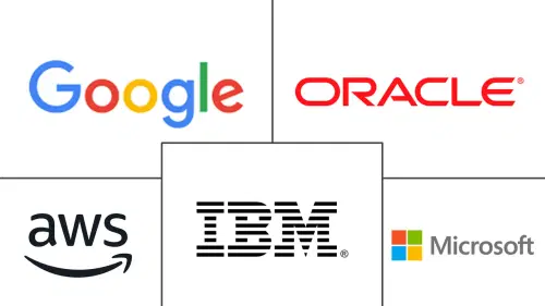 Application Container Market Major Players