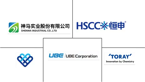 Asia-Pacific Polyamide Market Major Players