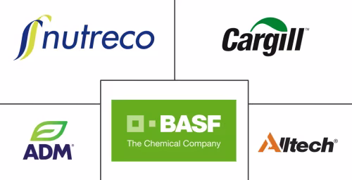 Asia Pacific Poultry Feed Market Major Players