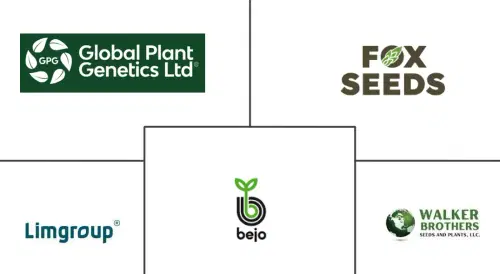 Asparagus Seed Market Major Players