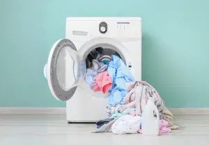 Expansion Strategy in Russia's Laundry Appliances Sector - Case Study