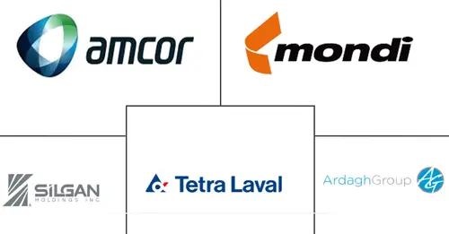 Baby Food Packaging Market Major Players