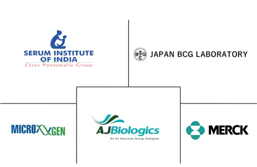 BCG Vaccine Market Major Players