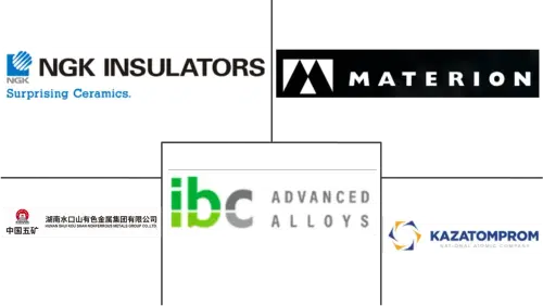 Beryllium Market Major Players