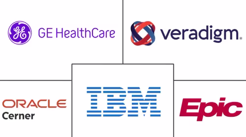 Big Data In Healthcare Market Major Players