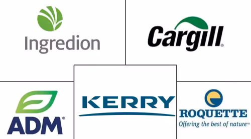 Binders Scaffolders Meat Substitutes Market Major Players