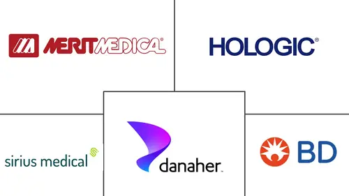 Breast Lesion Localization Methods Market Major Players