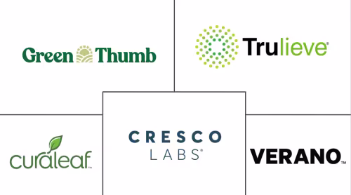 Cannabis Market Major Players