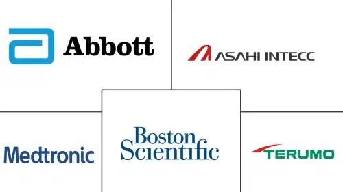 Cardiac Catheters And Guidewires Market Major Players