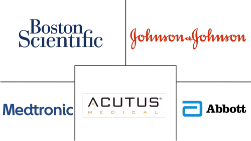 Cardiac Mapping Market Major Players