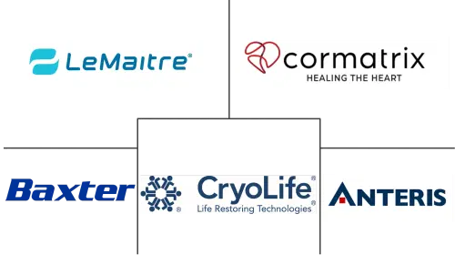 Cardiovascular and Soft Tissue Repair Patches Market Major Players