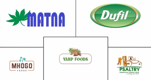 Cassava Flour Market Major Players