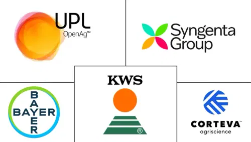 Cereals And Grains Seed Market Major Players