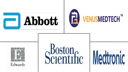 Cerebral Protection System Market Major Players