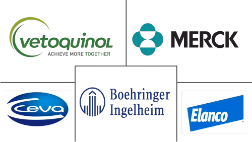 China Animal Healthcare Market Major Players