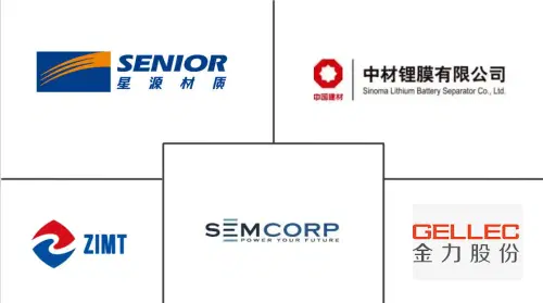 China Lithium-Ion Battery Separator Market For Electrical Vehicles Major Players