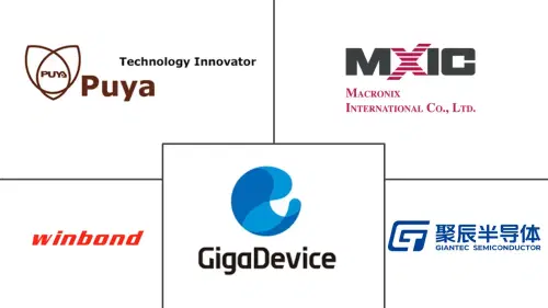 China NOR Flash Market Major Players