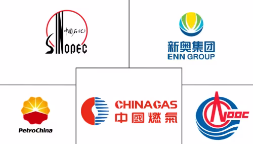 China Renewable Gas From Waste Market Major Players
