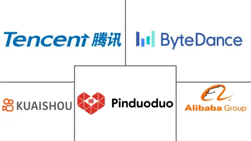 China Social Commerce Market Major Players