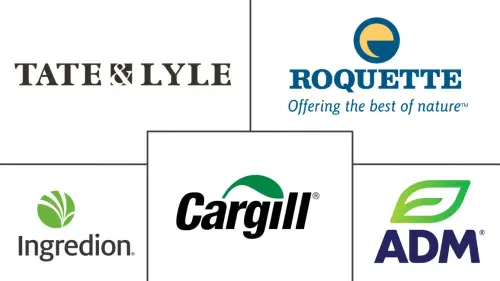 Corn Starch Market Major Players