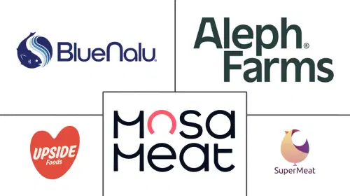 Cultured Meat Market Major Players