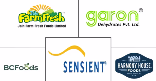 Dehydrated Vegetables Market Major Players