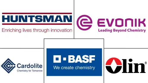 Epoxy Curing Agent Market Major Players