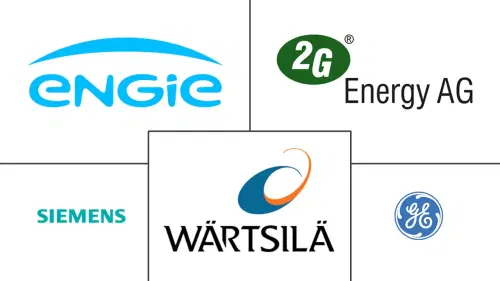 Europe Combined Heat And Power (CHP) Market Major Players