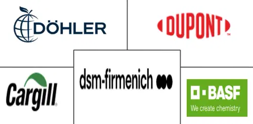 Europe Fermented Ingredients Market Major Players