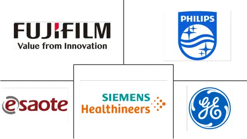 Europe Open System MRI Market Major Players