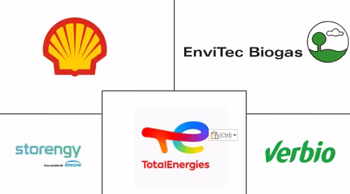 Europe Renewable Gas From Waste Market Major Players