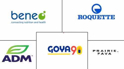 Fava Bean Market Major Players