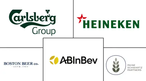 Fermented Drinks Market Major Players