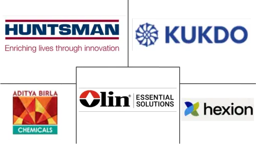 Flexible Epoxy Resin Market Major Players