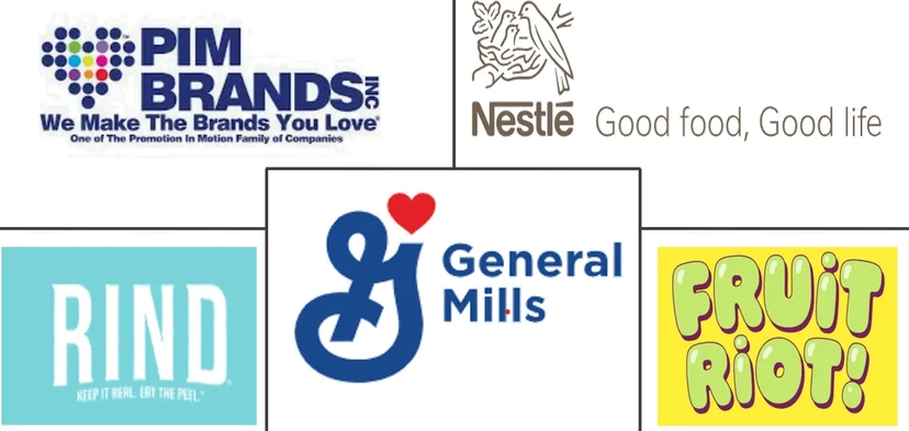 Major players in Fruit Snack industry