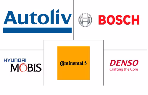 Germany Airbag Systems Market Major Players