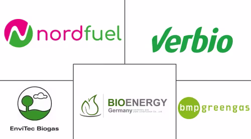 Germany Renewable Gas From Waste Market Major Players